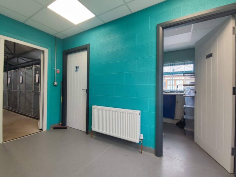Entrance, Food Preparation Room and Toilet
